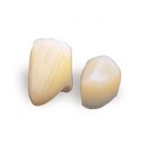 Polycarbonate Crown Forms #10 5/pk - Dentonics