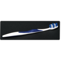 Adult Elite Toothbrush - Quala