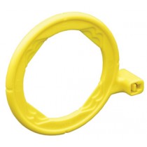 XCP Posterior Ring