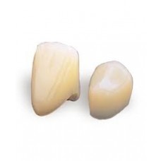 Polycarbonate Crown Forms #43 5/pk - Dentonics